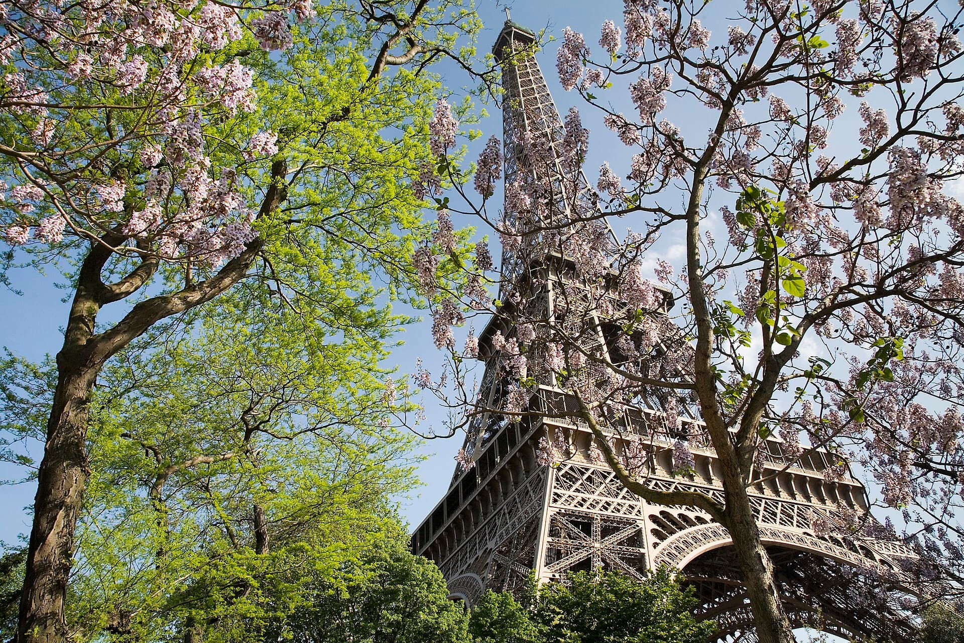 The Eiffel Tower over the Seine, Paris